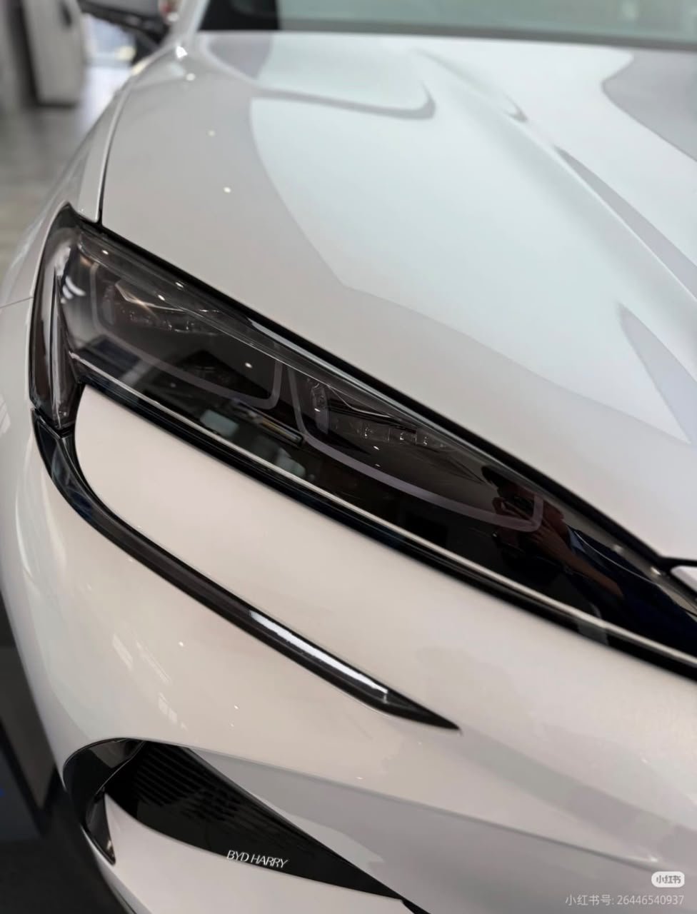 2024 BYD Sealion 7