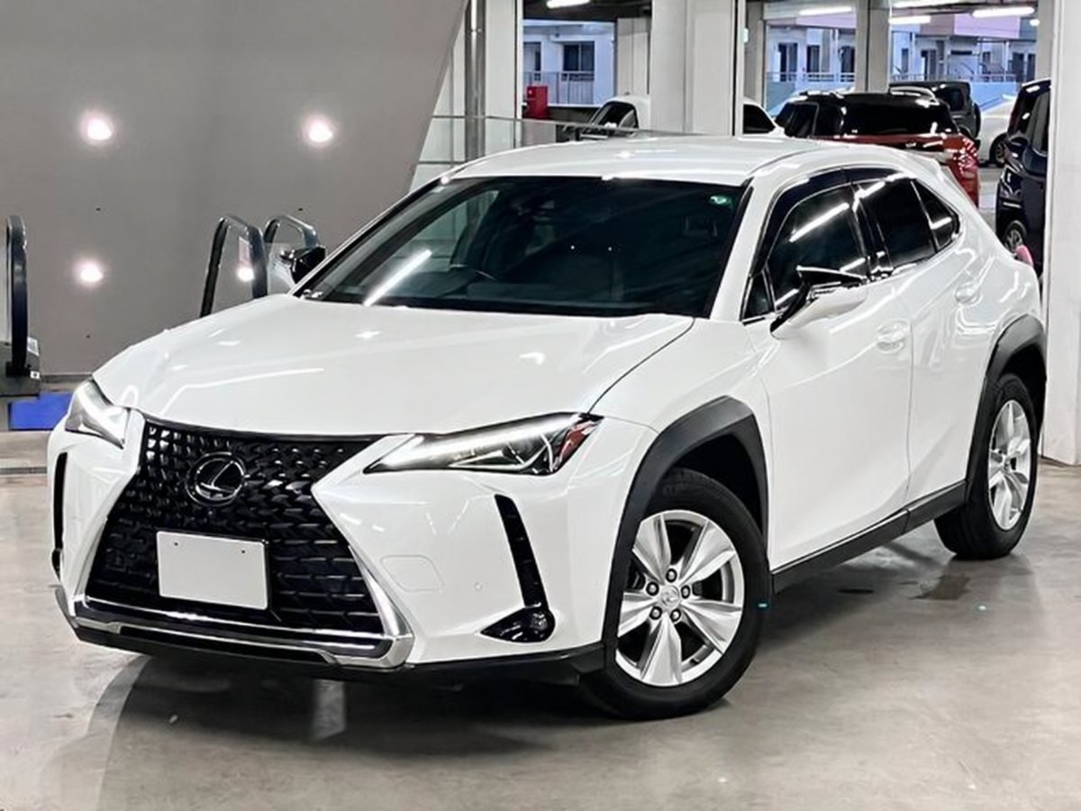 2019 Lexus UX Petrol