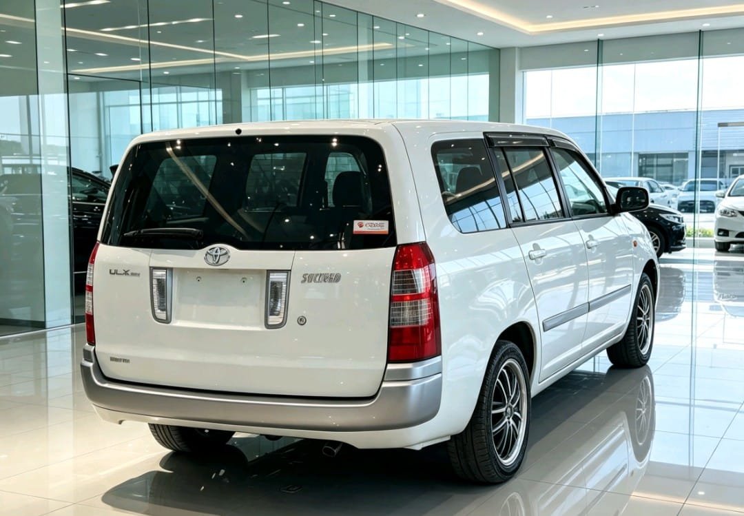 2010 Toyota SUCCEED