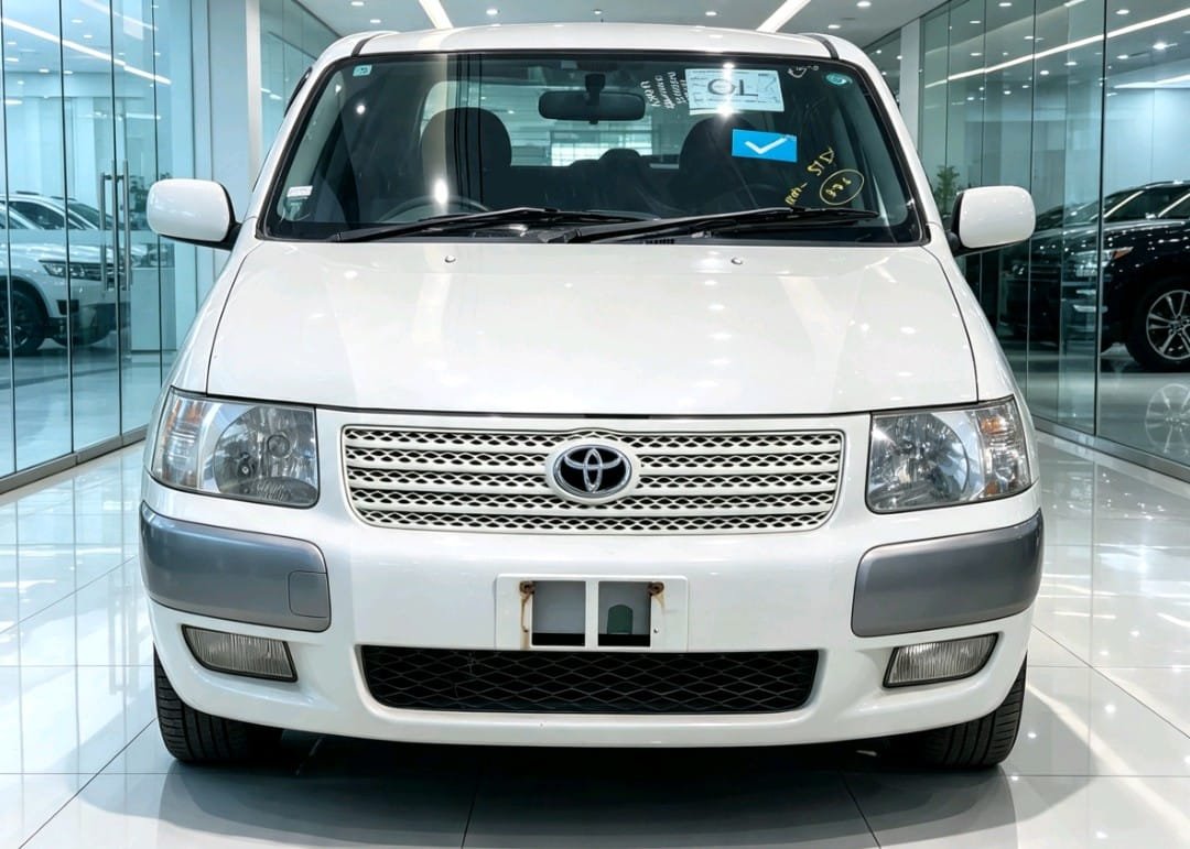 2010 Toyota SUCCEED