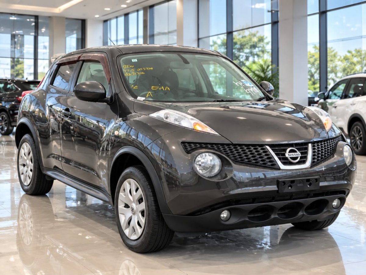 2012 Nissan JUKE