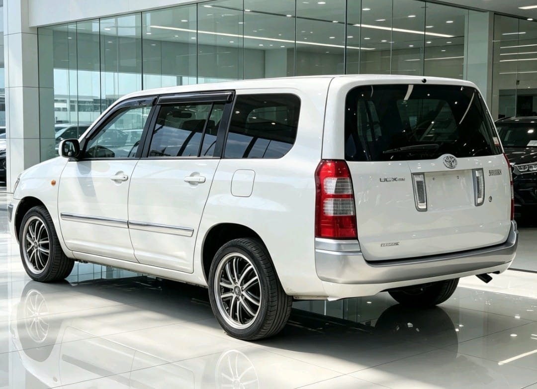 2010 Toyota SUCCEED