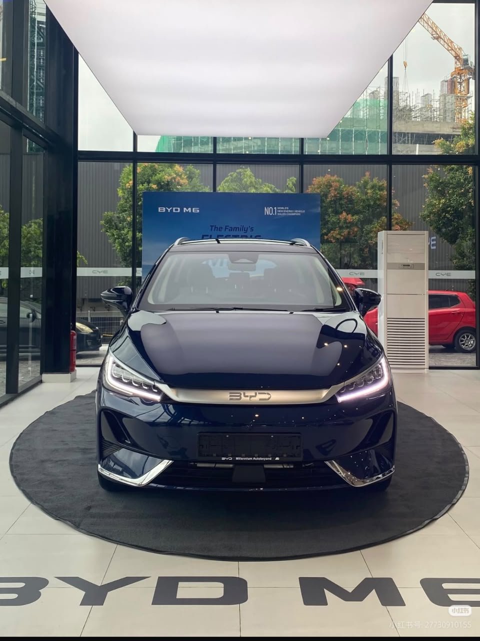 2024 BYD M6