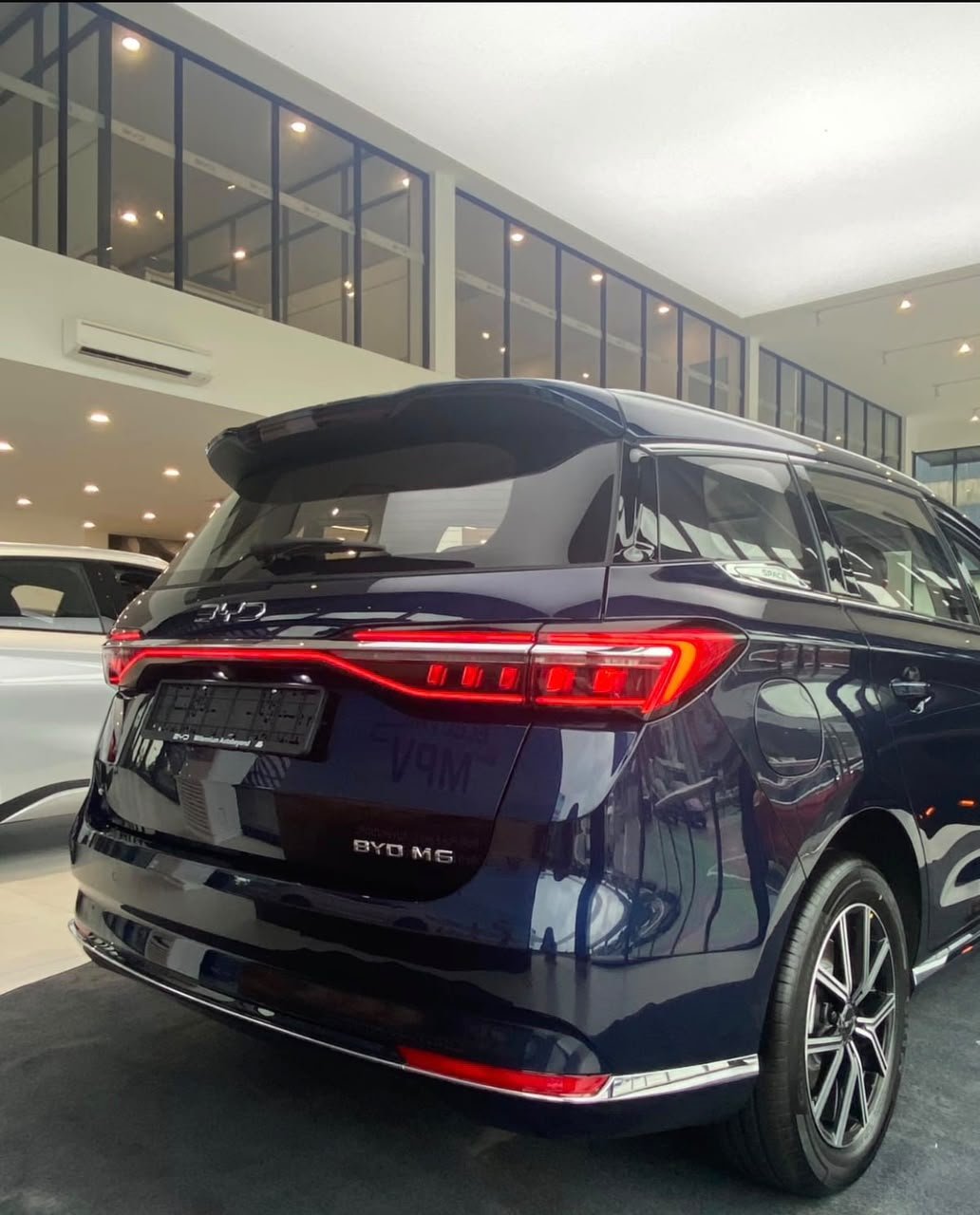 2024 BYD M6