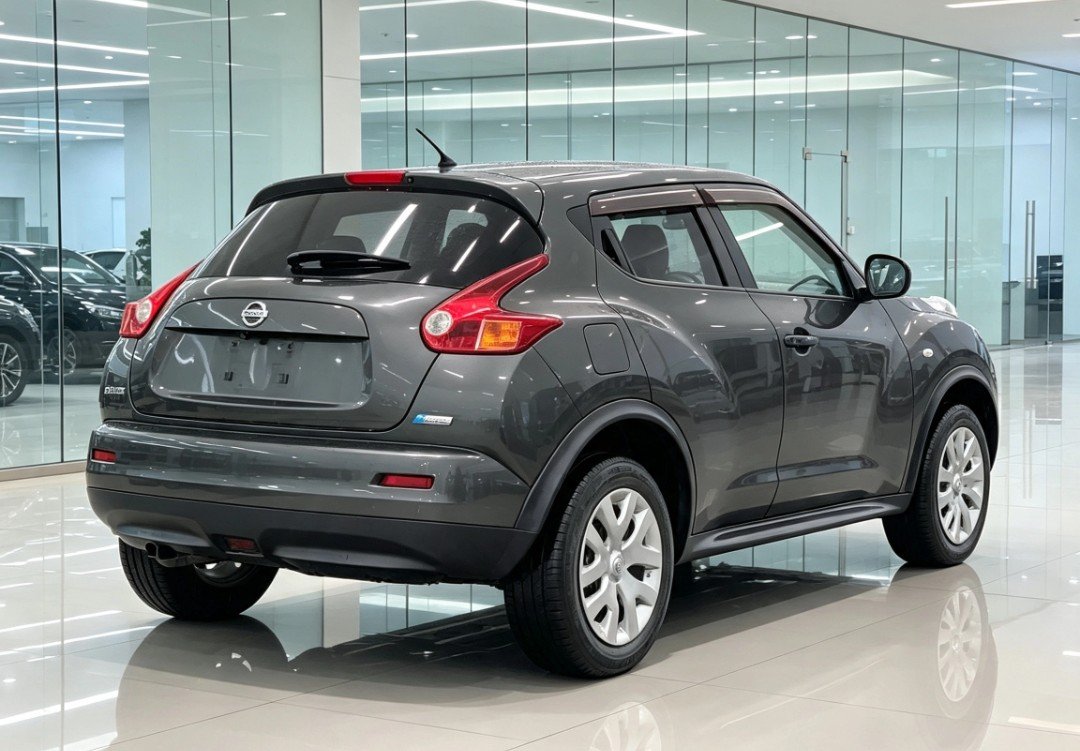2012 Nissan JUKE