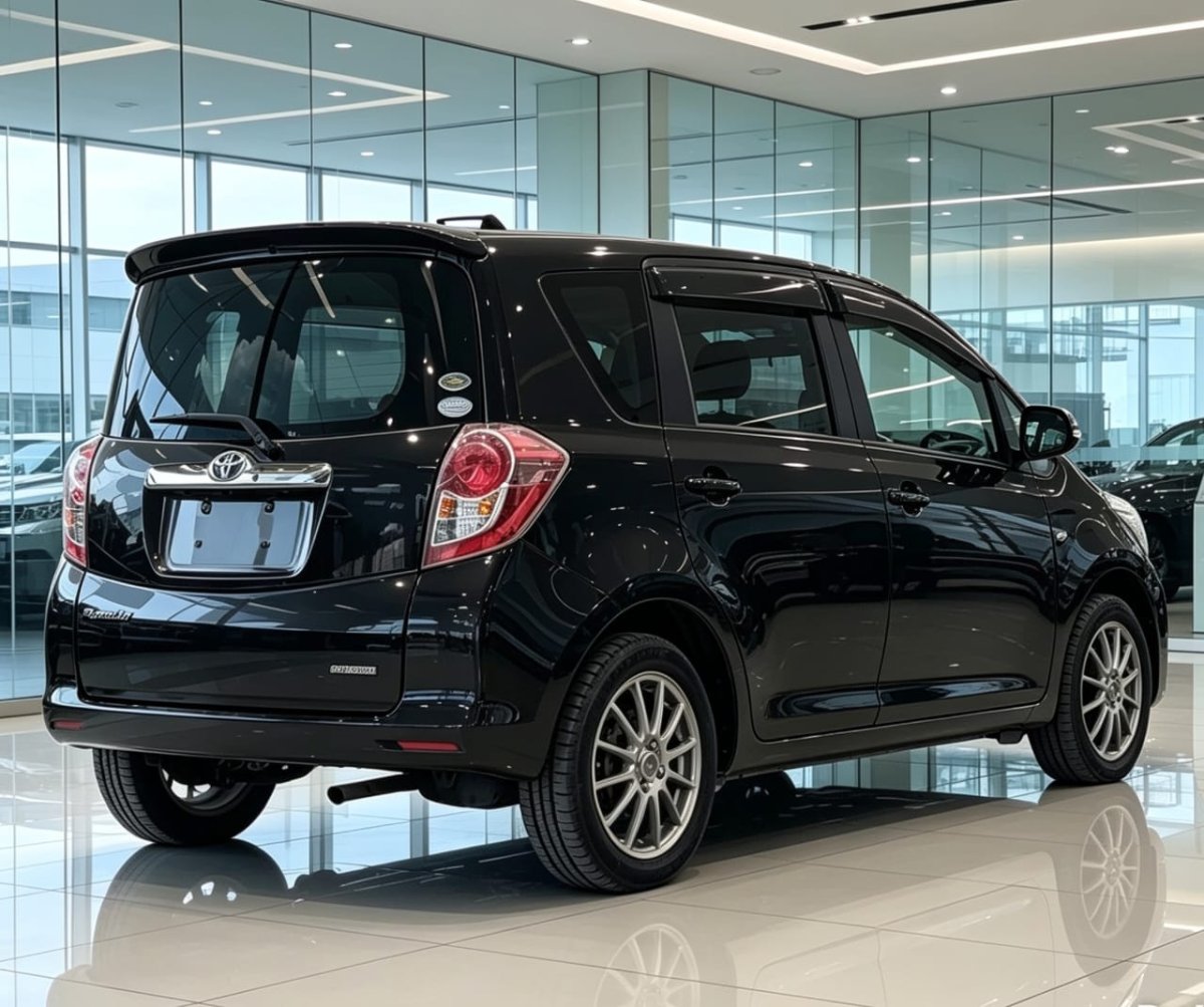 2009 Toyota RACTIS